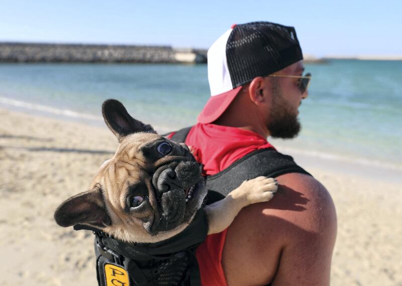 Dubai, United Arab Emirates - Reporter: Hayley Skirka. Features. Ziad with Potato. DubaiÕs dog-friendly Flopser Beach near Al Jazira Bungalows in Ghantoot officially launches. Friday, October 16th, 2020. Dubai. Chris Whiteoak / The National