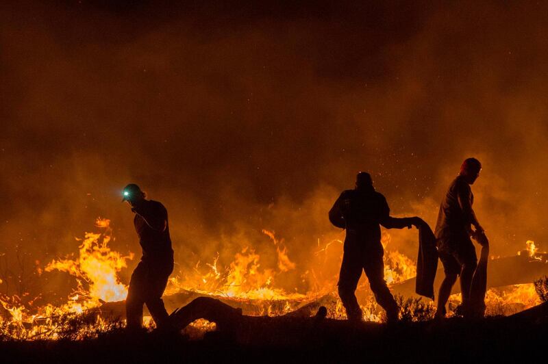 Volunteers and local residents use wet towels to fight one front of a large brush fire that started around the mountains in the city centre on January 27, 2019, in Cape Town.  AFP