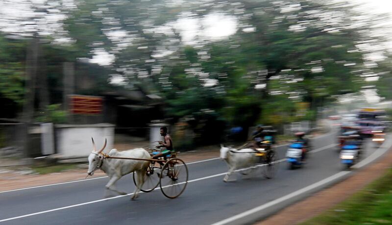 Competitors take part in a bullock cart race during traditional festival games ahead of celebrations for the Sinhalese and Tamil New Year, in Homagama, Sri Lanka. Dinuka Liyanawatte / Reuters