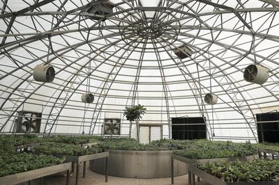 DUBAI , UNITED ARAB EMIRATES , August 1 – 2018 :- Different type of plants inside the urban farming area in the Sustainable City on Alqudrah street in Dubai. ( Pawan Singh / The National )  For News. Story by Nick Webster