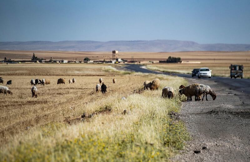 Farmers whose crops have been scorched by the heat now rely on income from other farmers, who use their fields to graze  animals.