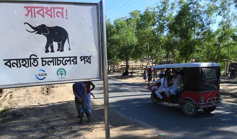 A sign that reads "Warning - Route for Wild Elephants" is pictured near Bangladesh's Balukhali camp for Rohingya refugees on October 14, 2017.
Wild elephants killed four Rohingya refugees including three children on October 14 as they were building a shack in Bangladesh's southeast, police said. The incident occurred at Balukhali camp in Cox's Bazar district, where hundreds of thousands of Rohingya have set up makeshift shelters since fleeing violence across the border in Myanmar.
 / AFP PHOTO / INDRANIL MUKHERJEE