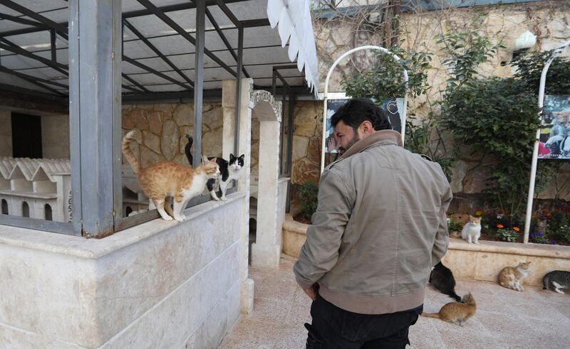 As the war raged in Syria and cat lovers fled the city, he was left with 170 cats to feed and a new nickname: the Cat Man of Aleppo. AFP