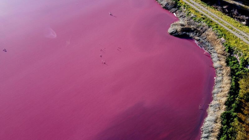 The body of water in Argentina's southern Patagonia region turned pink last week, in a striking but worrying development that experts are blaming on pollution