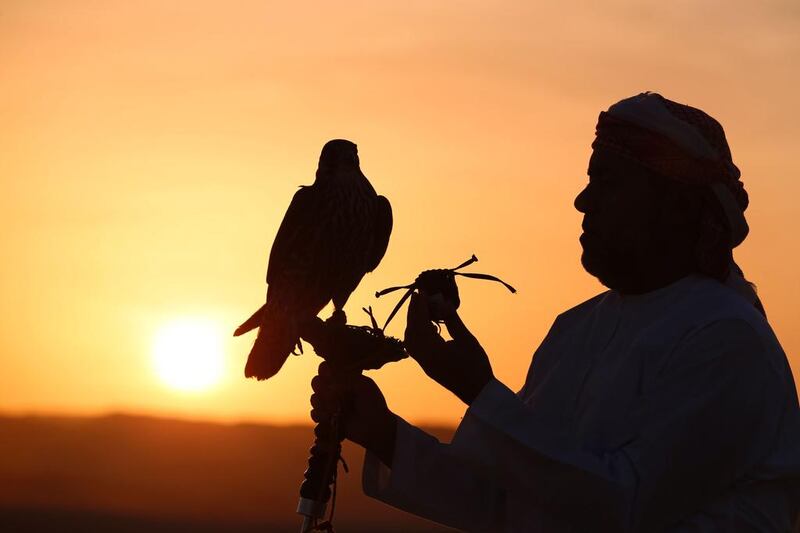 An Emirati man trains a falcon in the Liwa desert, during the Liwa Moreeb Dune Festival.