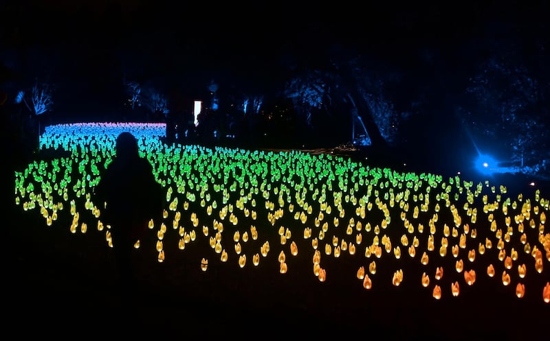 People view the illuminated Enchanted Forest of Light at Descanso Gardens in La Canada Flintridge, north of Los Angeles, California. AFP