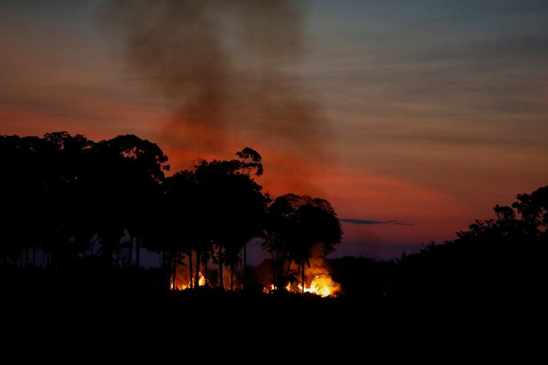 Fire burns trees in an area of the Amazon rainforest in the Rondonia State, Brazil. Reuters