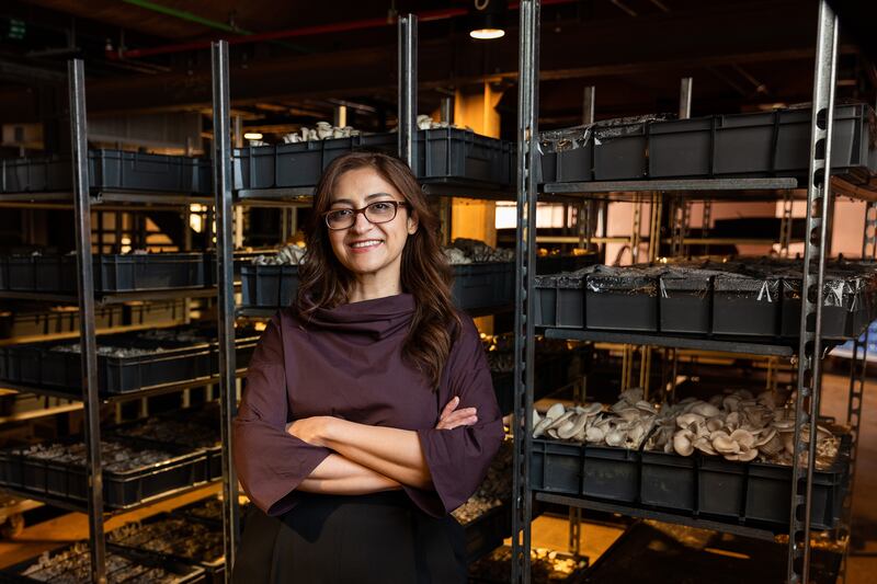 UAE entrepreneur Dima Al Srouri has taken over a mushroom nursery from the Netherlands pavilion and will continue the production of mushrooms and mycelium products in Dubai. Photo: Netherlands Pavilion Expo 2020 Dubai