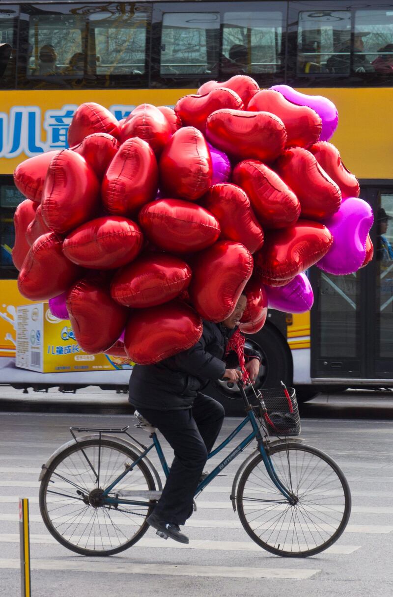 epa03105173 A cyclist transports heart shaped balloons for sale to those marking Valentines Day in Beijing, China 14 February 2012. Although China has its own traditional festival celebrating lovers the commercial drive behind the western style of celebrating St Valentine's Day has found many willing followers especially in the larger cities.  EPA/ADRIAN BRADSHAW *** Local Caption ***  03105173.jpg