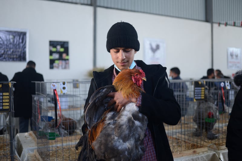 A participant holds his Brahma-breed chicken.