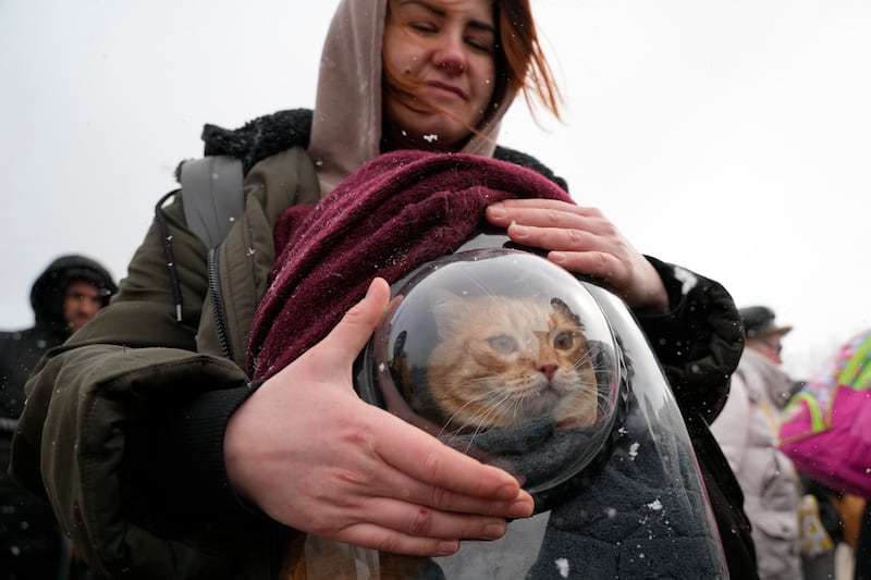 Nina, who fled Ukraine for Moldova, holds a her cat inside a pet carrier at the border crossing in Palanca, Moldova. AP