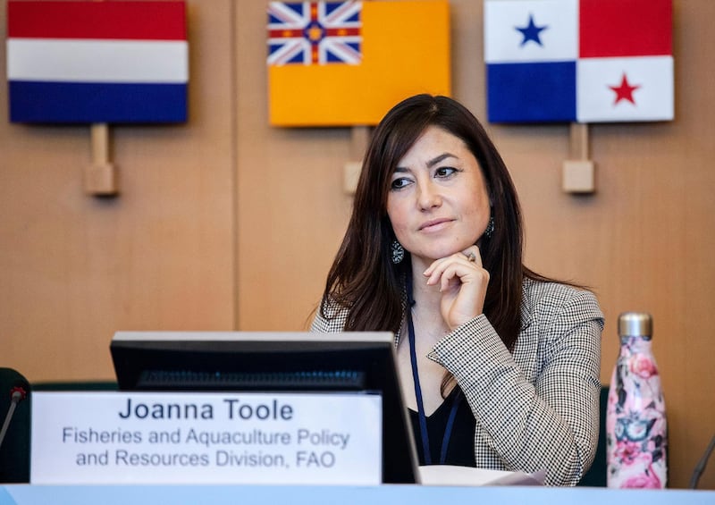 This photo provided on Tuesday, March 12, 2019 by the United Nations Food and Agriculture Organization(FAO) shows British national Joanna Toole at a Fish Forum Workshop at FAO, in Rome, on Dec. 10, 2018. Toole is one of the 157 people who died in the crash of an Ethiopian Airlines jetliner Sunday from Addis Ababa to Nairobi, Kenya. (Giuseppe Carotenuto/FAO via AP)