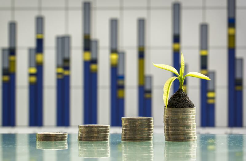 Tree growing on stacks of coins on nature background. Saving, accounting and financial concept.