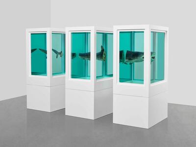 Damien Hirst's 'Myth Explored, Explained, Exploded' (1993) is one of his earliest shark works. Prudence Cummings Associates, Damien Hirst and Science Ltd. 