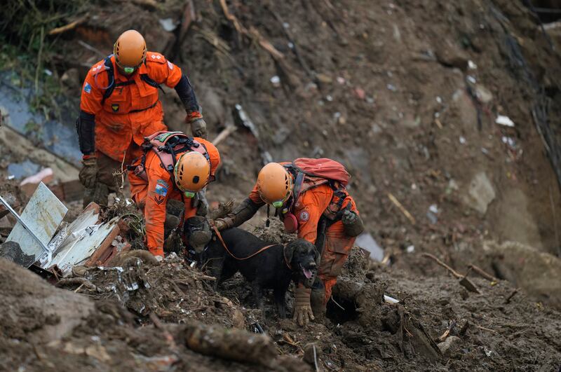 Rescue workers use a sniffer dog look for bodies of victims. AP