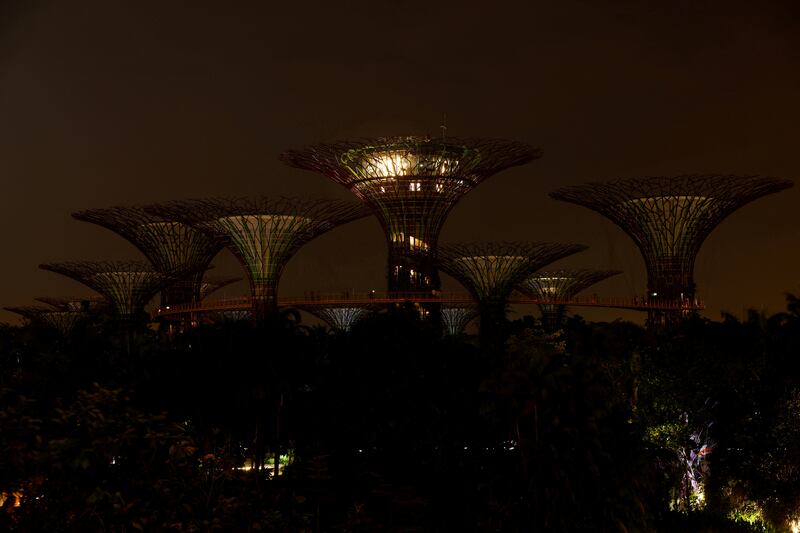 The Supertree Grove at Gardens by the Bay in Singapore. Reuters