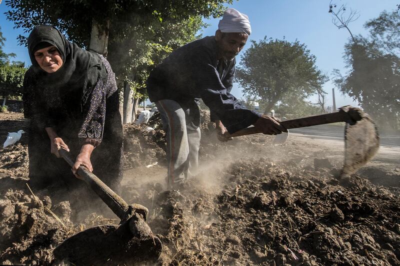 Middle-aged Egyptian farmers Zannuba Mohammed and her husband Karam Shaaban work in their farm in the village of Baharmis, which gets its irrigation water from a canal, supplied by the Nile river on the outskirts of Egypt's Giza province, northwest of the capital Cairo, on December 1, 2019. - Egypt has for years been suffering from a severe water crisis that is largely blamed on population growth. Mounting anxiety has gripped the already-strained farmers as the completion of Ethiopia's gigantic dam on the Blue Nile, a key tributary of the Nile, draws nearer. Egypt views the hydro-electric barrage as an existential threat that could severely reduce its water supply. But Ethiopia insists that Egypt's water share will not be affected. (Photo by Khaled DESOUKI / AFP)