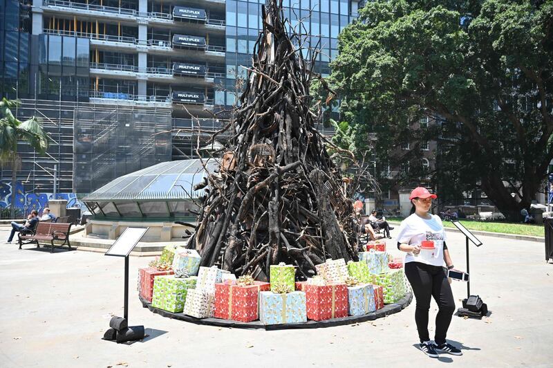 A volunteer collects donations in front of an an installation dubbed 'the Burnt Christmas Tree' to support the Australian Red Cross’ Disaster Relief and Recovery Fund in Sydney. AFP