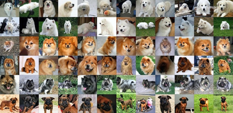 Samples generated by Generative Adversarial Networks at DeepMind, the artificial intelligence arm of Google. Andrew Brock