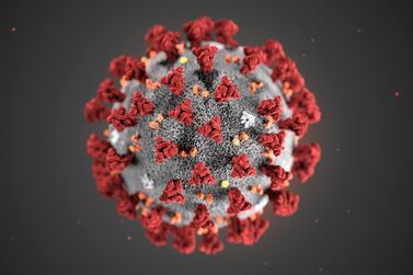 An undated handout photo released by the Centers for Disease Control and Prevention (CDC) in Atlanta, Georgia, USA shows of an illustration of the coronavirus (2019-nCoV). EPA