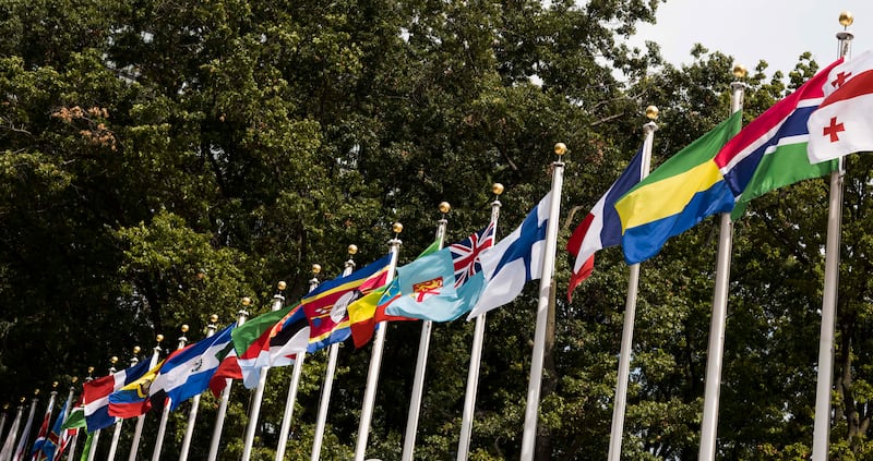 Flags outside of United Nations Headquarters in New York, New York, on September 19. EPA