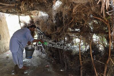 In this photograph taken on August 11, 2017, a Pakistani man throws water onto a makeshift hut made of scrub bushes during a hot day in Sibi, in Pakistan's southwestern Balochistan province.
Scientists have warned that swathes of South Asia may be uninhabitable due to rising temperatures by 2100 -- and in the desert community of Sibi in southwest Balochistan province, where the mercury hit 52.4 degrees Celsius (126 Fahrenheit) this summer, it feels like they could be right.  / AFP PHOTO / BANARAS KHAN / TO GO WITH PAKISTAN-ENVIRONMENT-CLIMATE-HEAT, FOCUS BY MAAZ KHAN