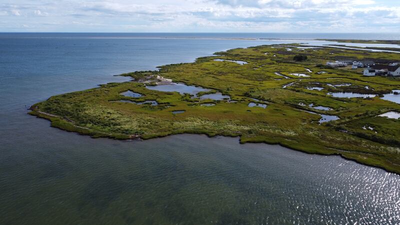 Much of Tangier Island has been transformed into marsh over the past century, leaving only 300 livable hectares. 