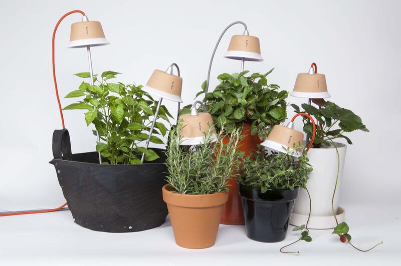 Natural elements will continue to be popular in 2015, and the best way to embrace this trend is with actual plants. If you can’t get yourself a vertical garden, layer up pot plants of varying heights and textures. Courtesy KSL Living

