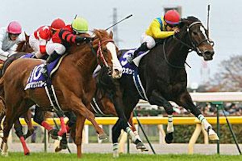 Vodka, right, crosses the finish line of the Japan Cup yesterday a nose ahead of Oken Bruce Lee.