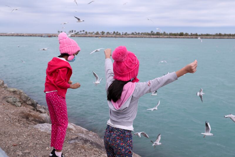 Carissa, 6, left, and her sister Danica Rodrigues, 5, feed seagulls on New Year’s Day on the Corniche, Abu Dhabi. Khushnum Bhandari / The National