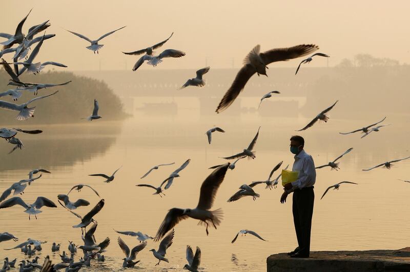 A man feeds seagulls as he stands on the banks of Yamuna river, on a smoggy morning in New Delhi, India. Reuters