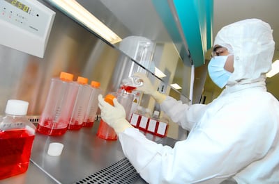 Laboratory at Gulf Pharmaceutical Industries PSC (Julphar), one of the largest pharmaceutical manufacturers in the Middle East. The GCC is evolving a strong pharmaceutical industry. Photo: Julphar