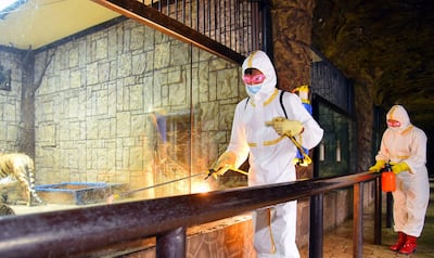 Employees of the Central Ideals Zoo in Pyongyang carry out disinfection work to prevent the spread of the Covid-19 coronavirus. Photo: AFP
