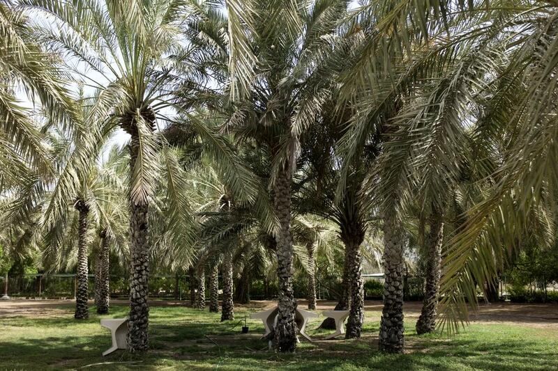 Residents welcome the refurbishment of the 39,000-square-metre Madhab Sulpheric Spring Park. Reem Mohammed / The National