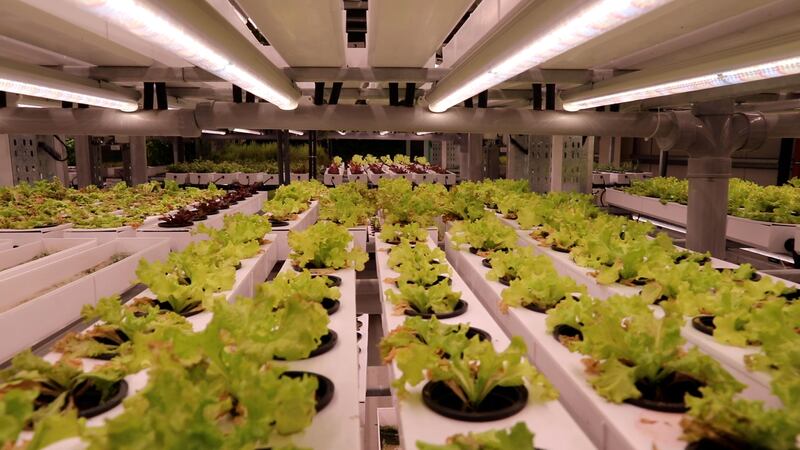 It has its own vertical farms to grow its own fruit and vegetables