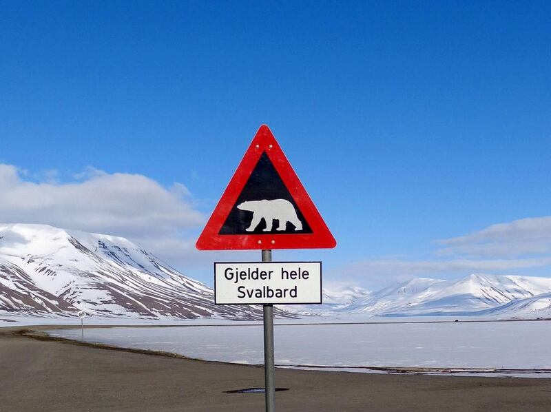 A sign warns residents of the arctic Svalbard islands in Norway of the danger from roaming polar bears.  REUTERS/Balazs Koranyi