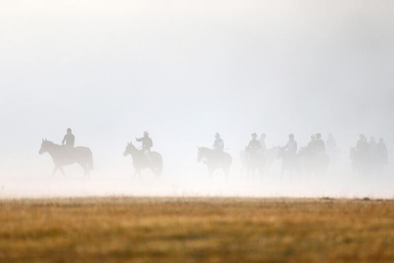 Thoroughbred racehorses attend an early morning training session prior to the Qatar Prix de l’Arc de Triomphe horse race in Chantilly, France. Benoit Tessier / Reuters