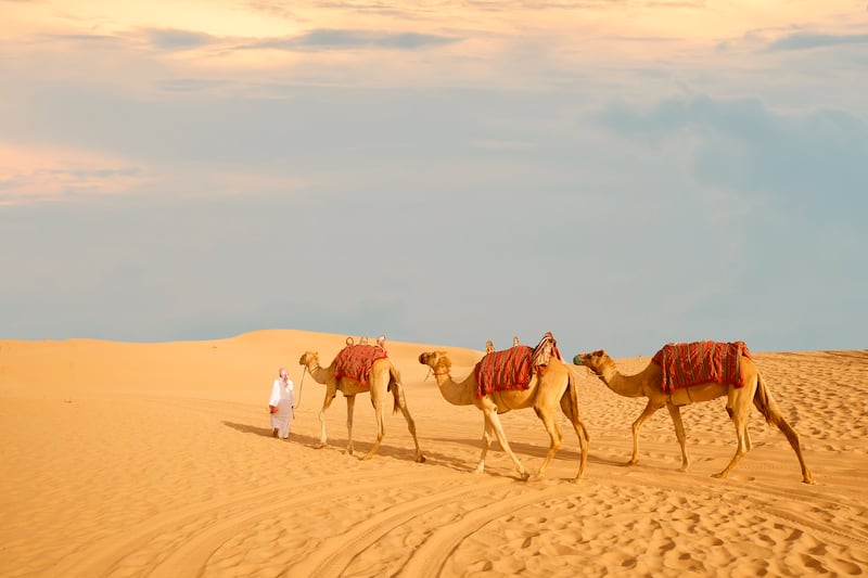 For Anshar Hamza, tour guide and managing director of Desert Rose Tourism, nothing is more spectacular than a sunset camel ride. Photo: Desert Rose Tourism