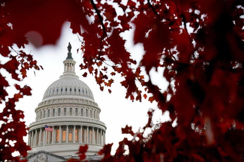 A general view of the U.S. Capitol dome in Washington, U.S. November 10, 2020. REUTERS/Erin Scott