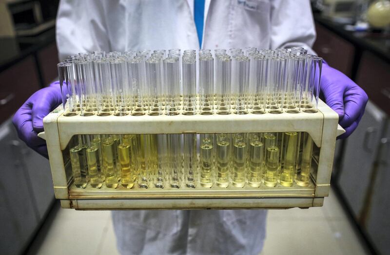 An employee carries test tubes inside a laboratory at Piramal's Research Centre in Mumbai August 11, 2014. Indian drugmakers are fleeing a regulatory morass at home and moving some research and development to Europe and the United States as they try to boost margins by producing high-value drugs. Companies like Piramal Enterprises Ltd, Sun Pharmaceutical Industries Ltd and Lupin Ltd are investing millions of dollars and placing their future growth in foreign regulators' hands, as they seek to add more complex drugs to their product lines. Picture taken August 11, 2014. To match INDIA-PHARMACEUTICALS/RESEARCH/ REUTERS/Danish Siddiqui (INDIA - Tags: HEALTH BUSINESS DRUGS SOCIETY SCIENCE TECHNOLOGY) - GM1EA8T0EJ601