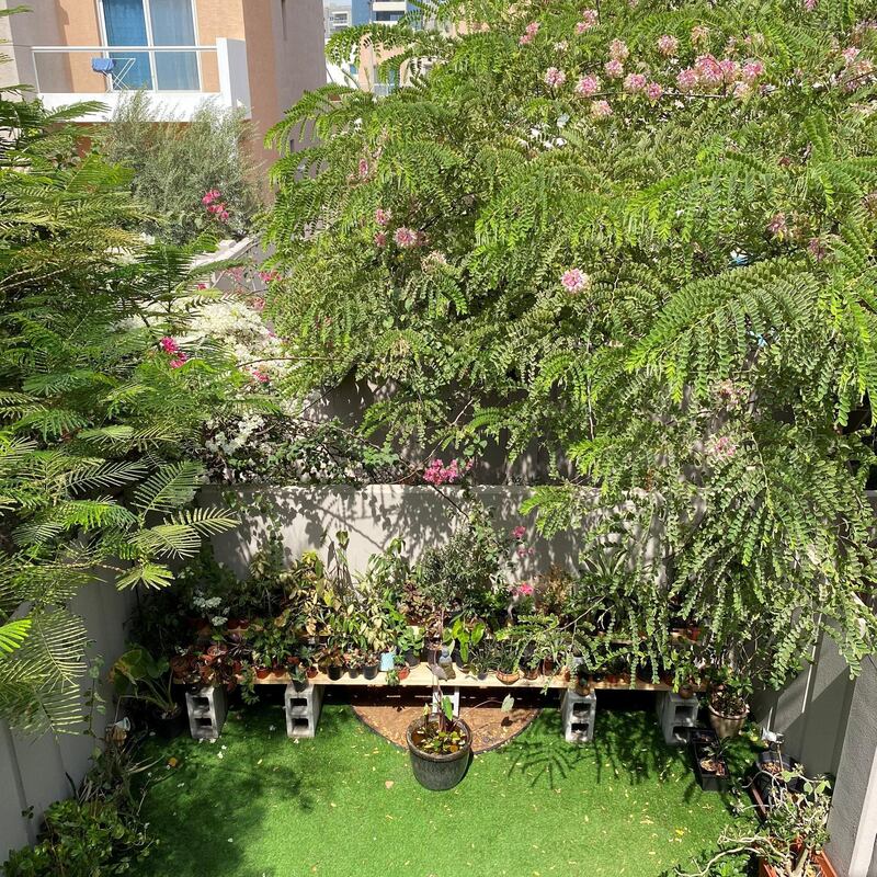 The finished garden, as seen from the balcony