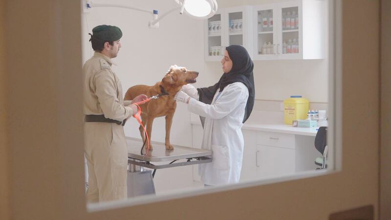 The four-legged team also helped bolster security operations at Expo 2020 Dubai.