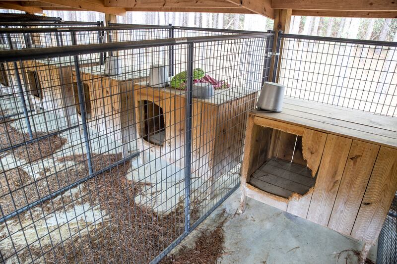 Dog kennels at the property, which played a large role throughout the trial. AP