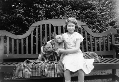 Queen Elizabeth with two corgi dogs at her home on 145 Piccadilly, London, in 1936. Getty Images