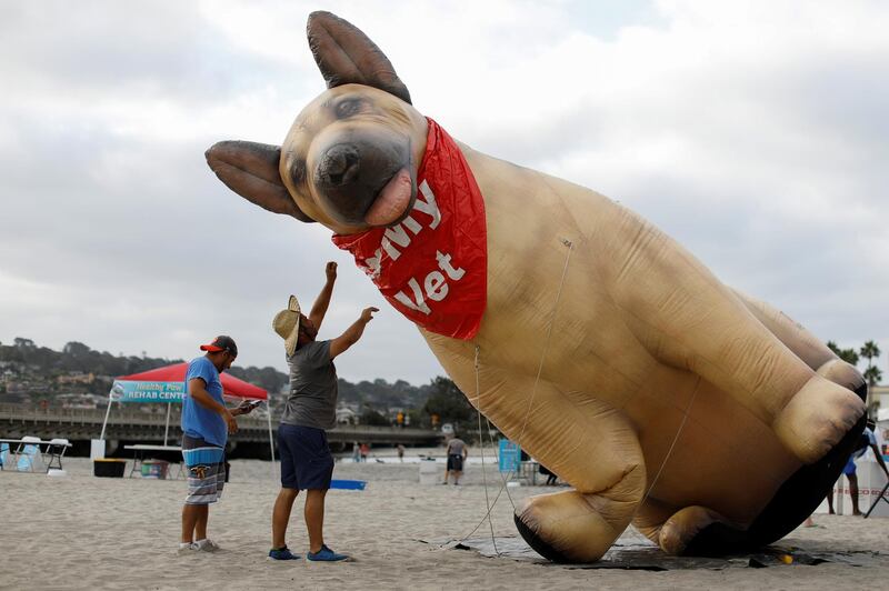 Workers set up a display on the beach at 14th annual Helen Woodward Animal Center "Surf-A-Thon" where more than 70 dogs competed in five different weight classes for "Top Surf Dog 2019" in Del Mar, California. Reuters