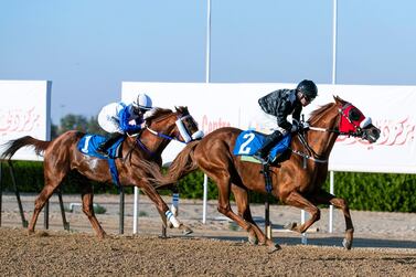 Tadhg O’Shea on AF Alwajel won the Crown Prince of Sharjah race for Purebred Arabians at the Sheikh Ahmed Bin Rashid Al Maktoum Cup. Reem Mohammed / The National
