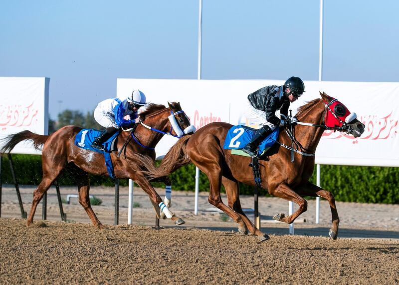 SHARJAH, UNITED ARAB EMIRATES. 28 DECEMBER 2019. 
Jockey Tadhg O’Shea on AF ALWAJEL (AE) wins HH The Crown Prince of Sharjah race for Purebred Arabians at Sheikh Ahmed Bin Rashid Al Maktoum Cup. The horse is owned by Khalid Khaleefa Al Nabooda.

(Photo: Reem Mohammed/The National)

Reporter:
Section: