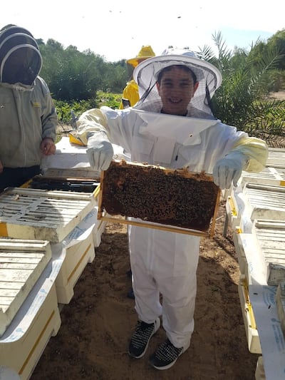 Mustafa Addel-jaber, 10, during a visit to the bee gardens in Hatta where his family own a beehive. Courtesy: Farah Addel-jaber  