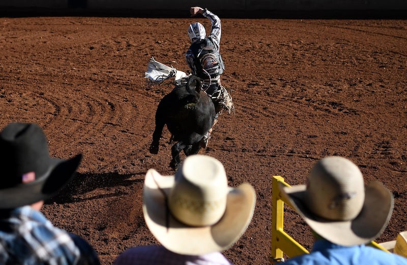 A competitor takes part in the open bull ride event at the Mount Isa Mines Rotary Rodeo, in Mount Isa, Australia. EPA