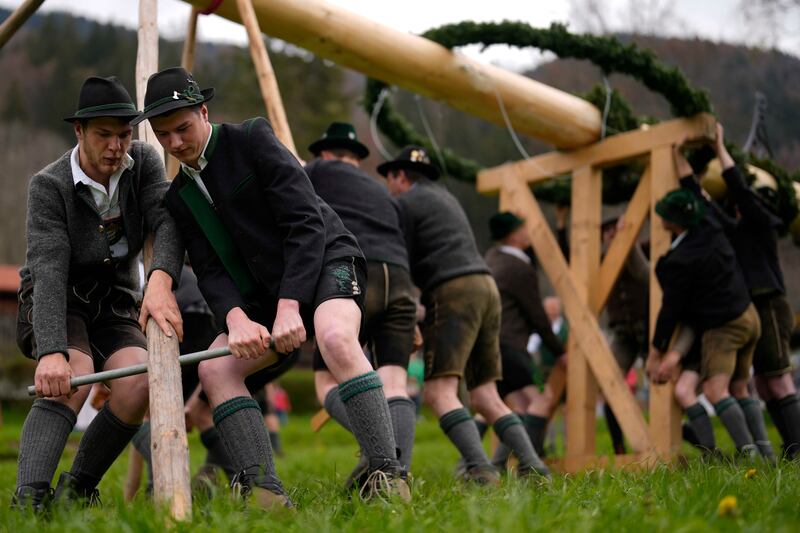 Bavarian highland folk dressed in traditional clothes set up a Maypole in Rottach Egern, Germany. AP